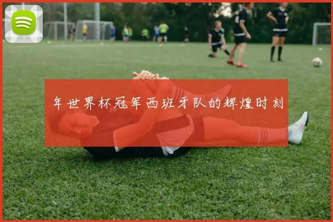 年世界杯冠军西班牙队的辉煌时刻