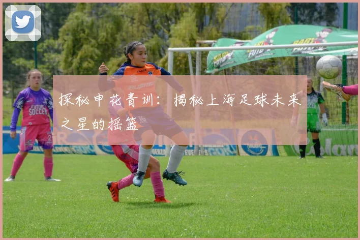 探秘申花青训：揭秘上海足球未来之星的摇篮